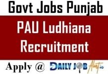 PAU Ludhiana Recruitment