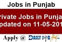 Private Jobs in Punjab