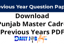 Download PDF Punjab Master Cadre Teacher Previous Papers