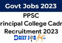 PPSC Principal Recruitment 2023