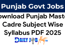 Download Punjab Master Cadre Syllabus PDF 2025 Subject Wise