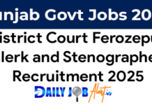 District Court Ferozepur Recruitment 2025 of Clerk and Stenographer Posts District Court Ferozepur Recruitment 2025