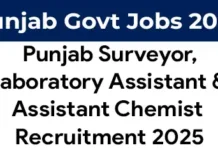 PSSSB Advt 02 of 2025 Recruitment of Surveyor, Laboratory assistant & Chemist posts