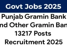 IBPS RRB 2025 Notification Out for 13217 vacancies IBPS RRB 2025 Notification Recruitment
